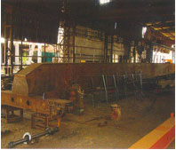 3 Ton SG EOT (Expert)